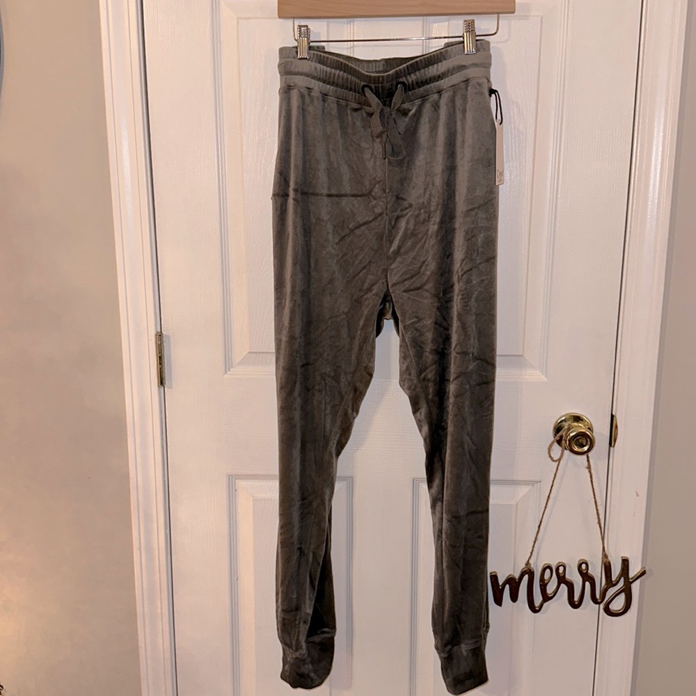 NWT Dex velvet joggers 1x